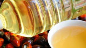 Palmino ulje - zdravstvene koristi i štete Je li rafinirano palmino ulje štetno ili ne?