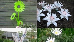 Blumen aus Plastikflaschen Schritt für Schritt für Anfänger – Meisterkurse für Gartenarbeit