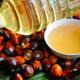 Palmöl – Nutzen und Schaden für die Gesundheit Ist raffiniertes Palmöl schädlich oder nicht?